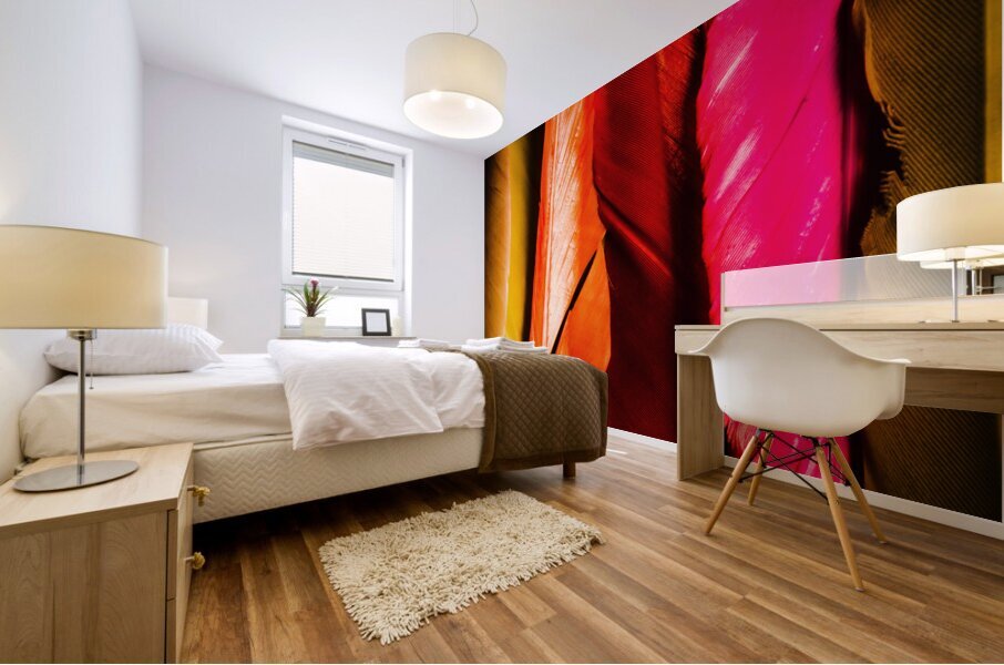 Colourful feather art Mural print