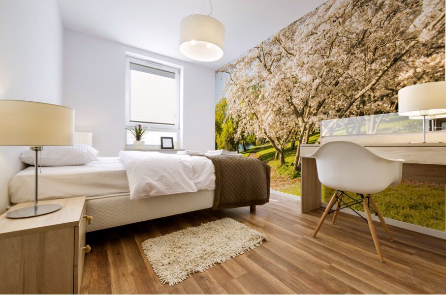 Cherry blossom lane Mural print