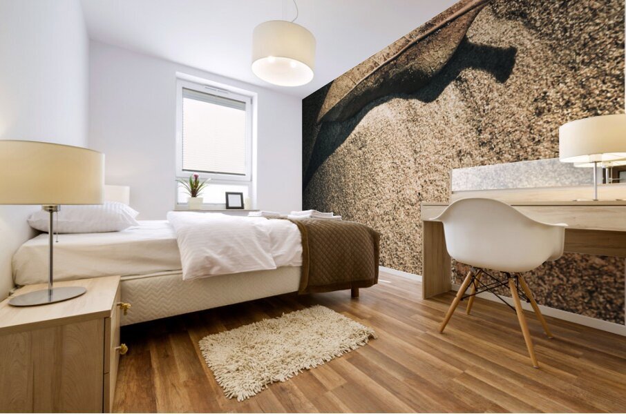 The desert burial Mural print