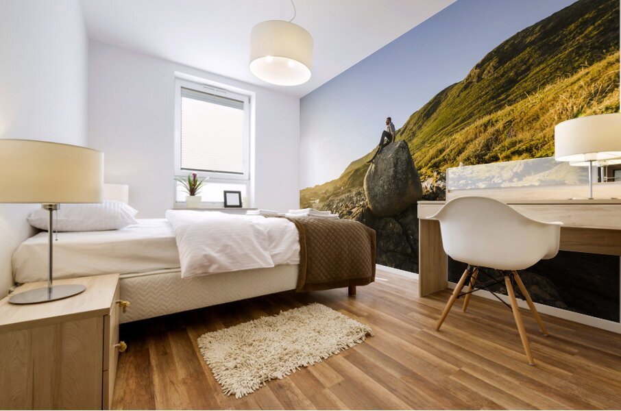 Boulder bay Mural print