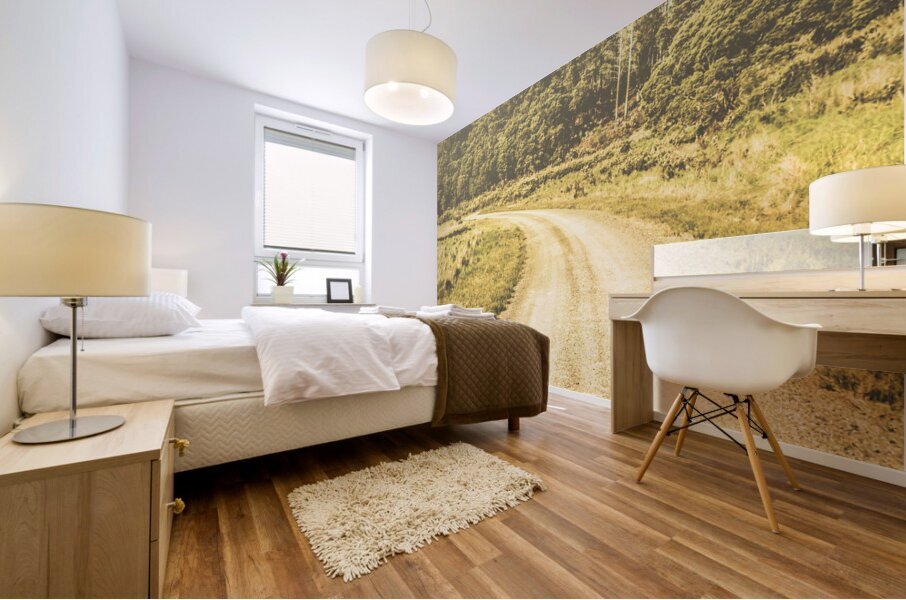 Empty curved gravel road in Tasmania Australia Mural print