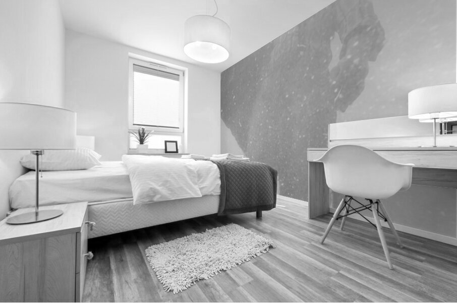 Reflections of an early settler Mural print