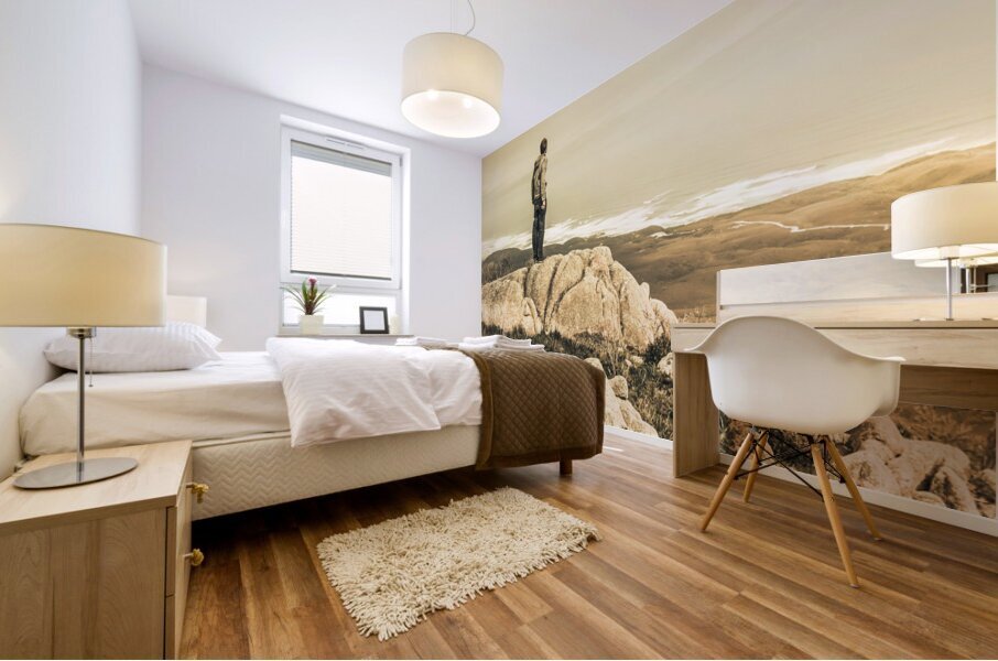 Vintage mountain dreamer Mural print