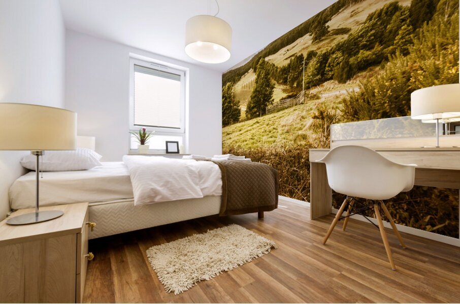 Cygnet rustic farming fields Mural print