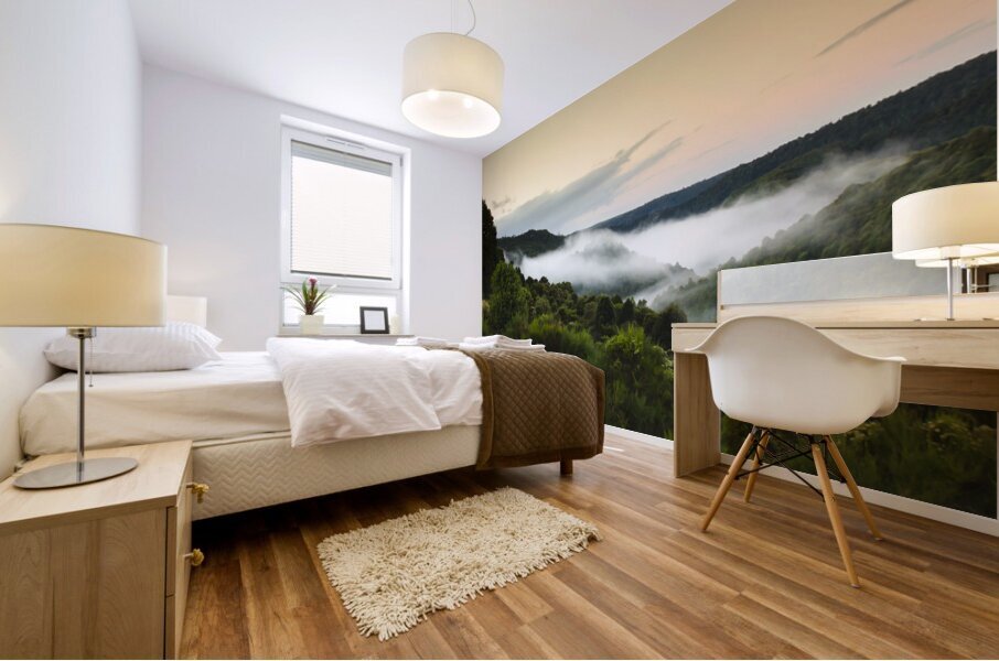 Waratah morning landscape of Mount Bischoff Valley Mural print