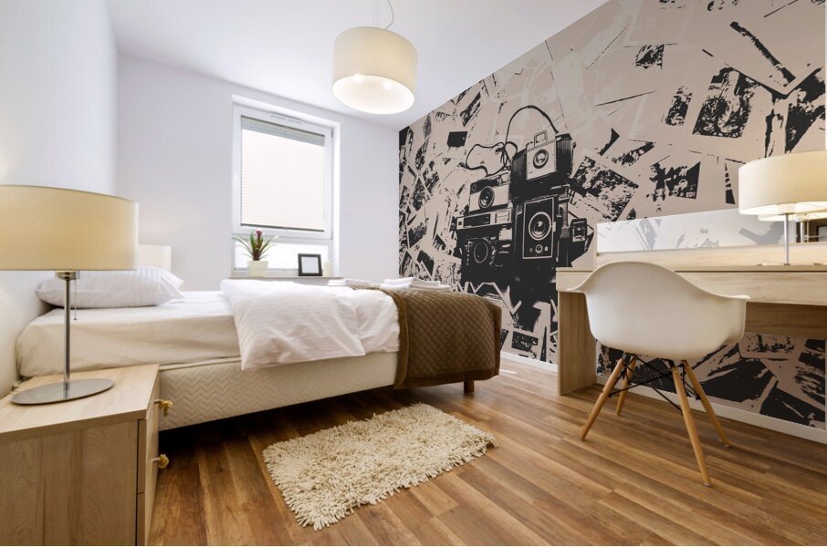 Classic cameras and captures Mural print