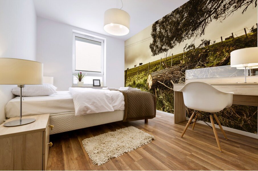 Tasmanian Country Farm Details Mural print