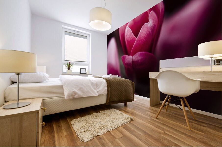 Sparaxis Grandiflora flower macro Mural print