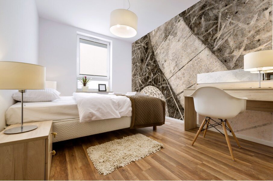 Traditional grass hockey Mural print