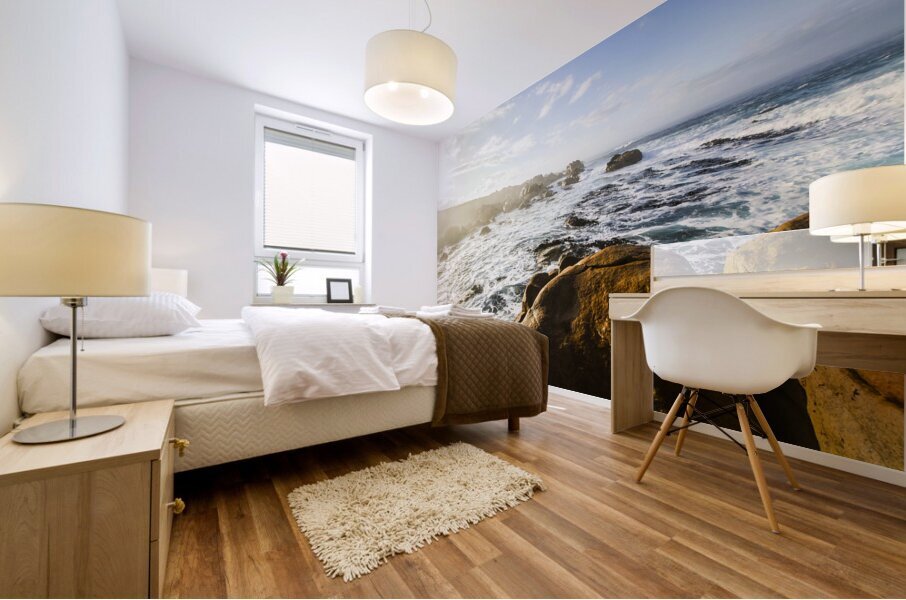 Pristine Tasmanian coast Mural print