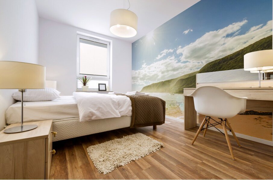 Beautiful coast with distant mountains Mural print