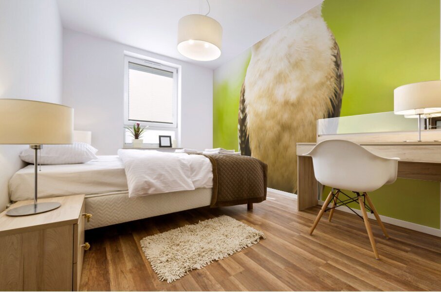 Bush Kookaburra  Mural print