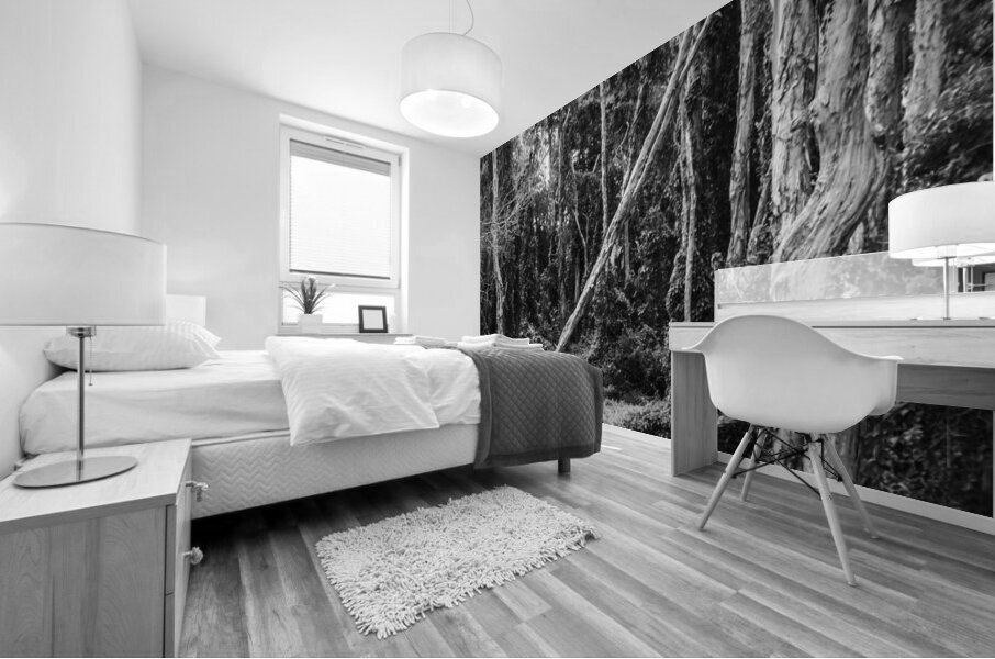 Vintage Outbacks Mural print