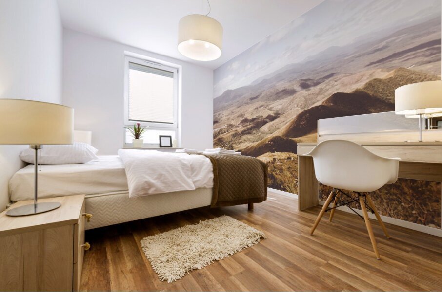 Wonderful west coast Tasmania views Mural print