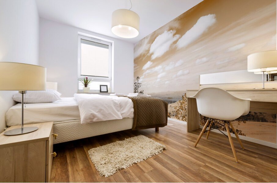 Australian Landscape Photo Of Maleny Hinterland Mural print