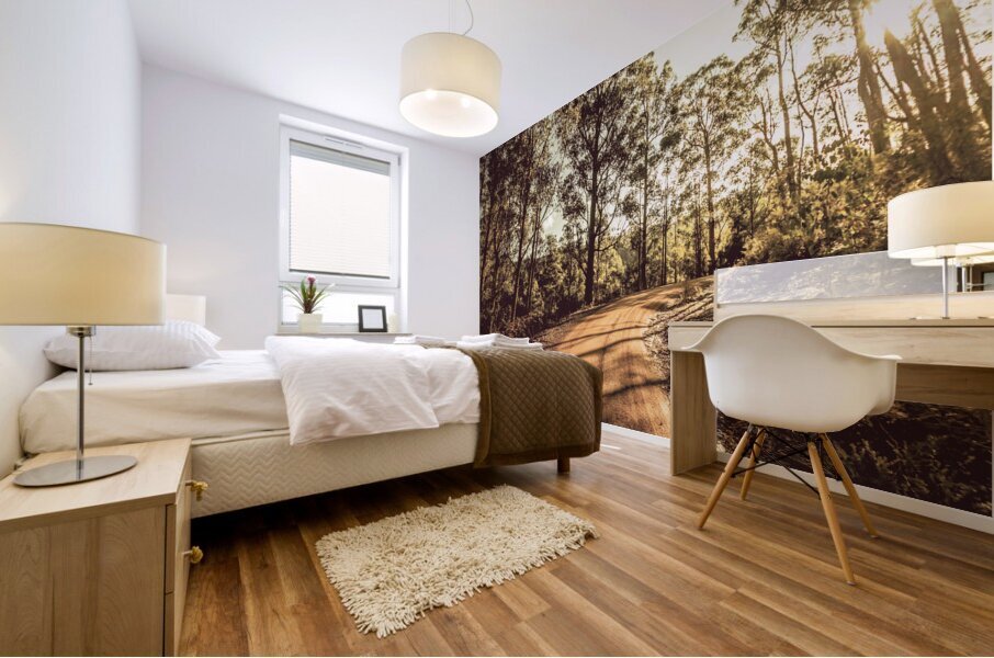 Off road trails Mural print