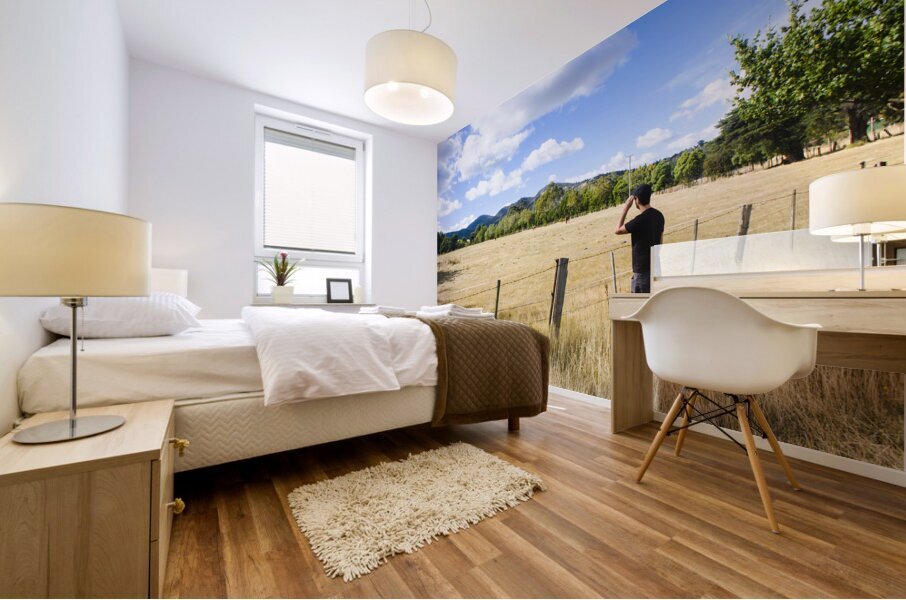 Man enjoying a rural farm landscape in Hobart Mural print