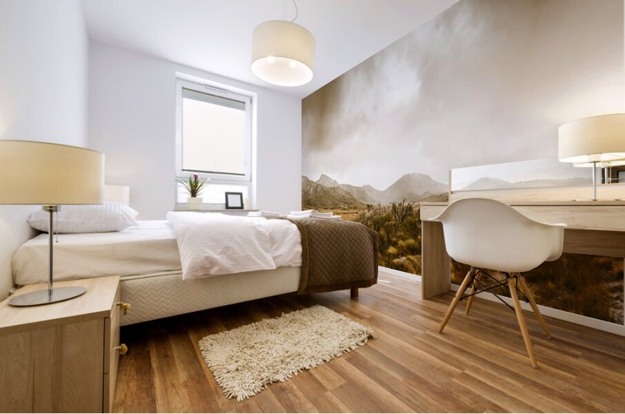 Ever expansive Tasmania Mural print