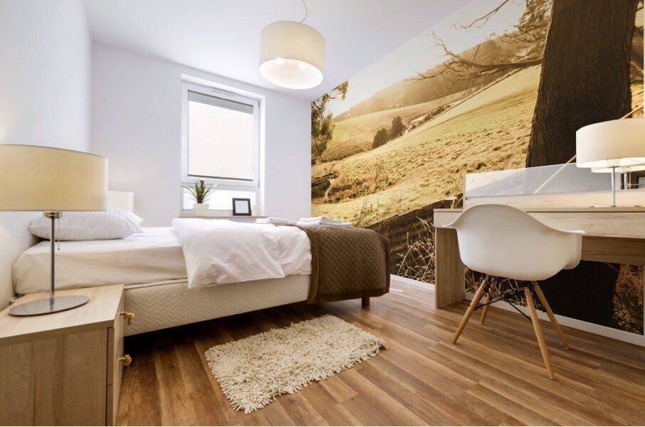 Sun drenched country Mural print