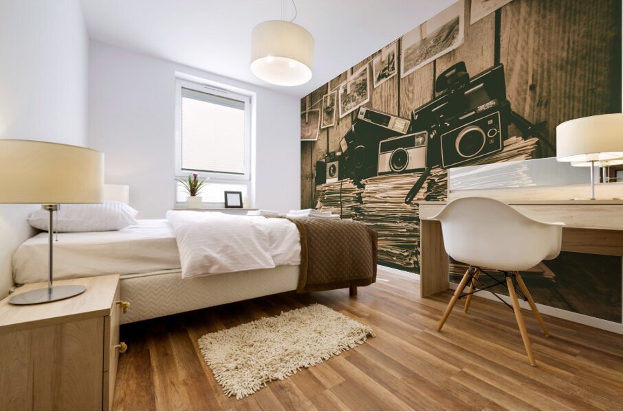 The art of film photography Mural print