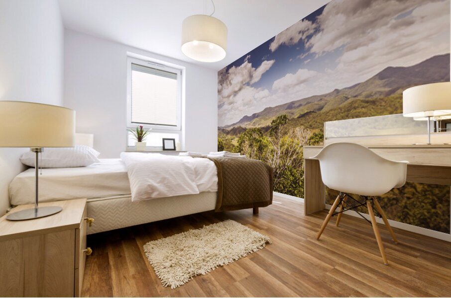 Mount Perry and beyond Mural print