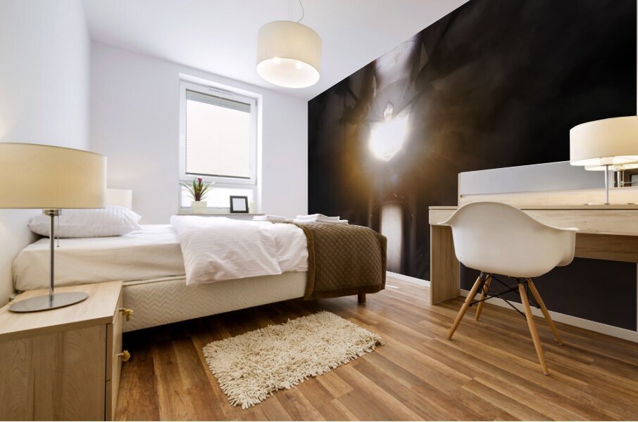 Motorcyclist Riding Bike At Fast Pace Mural print