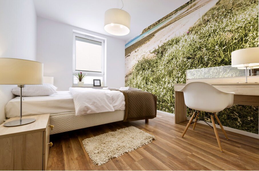 Scenic stony seashore Mural print