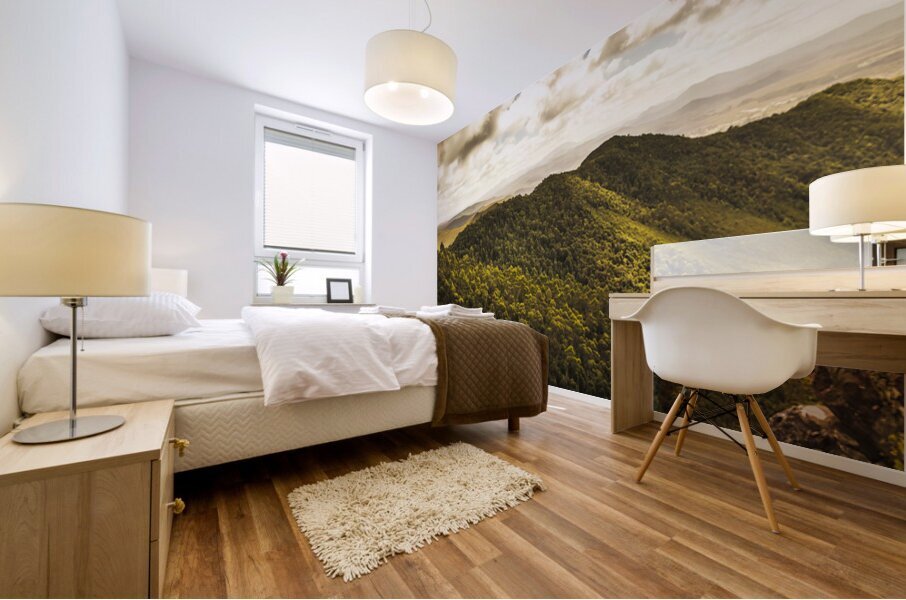 View from halfway up Mount Zeehan Mural print