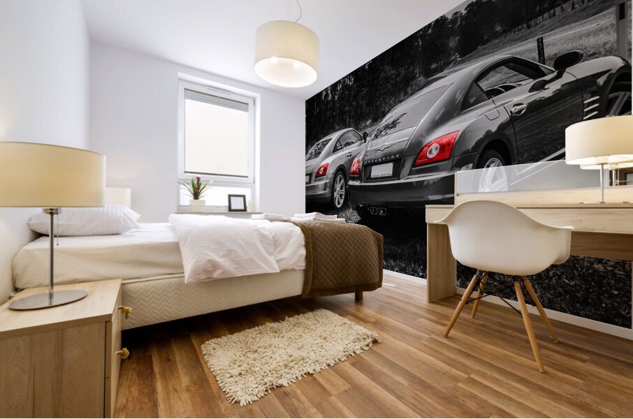 Crossfire duet Mural print