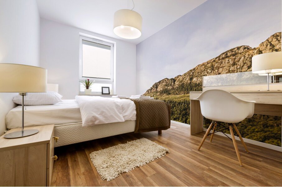 Mount Farrell Regional Reserve in Western Tasmania Mural print