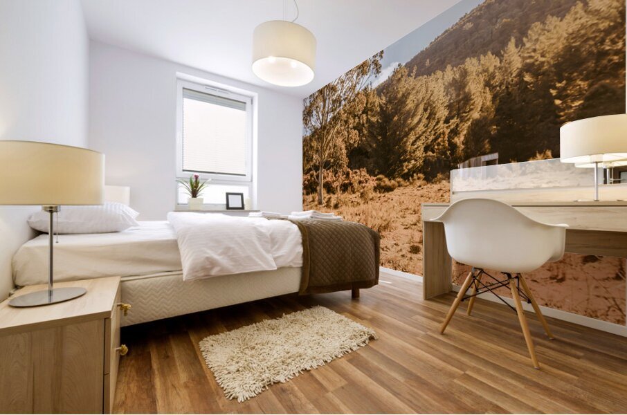 Scene from the outback Mural print