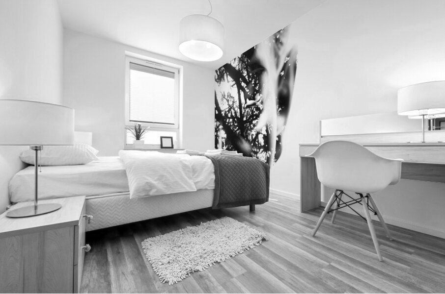 In Vision Mural print