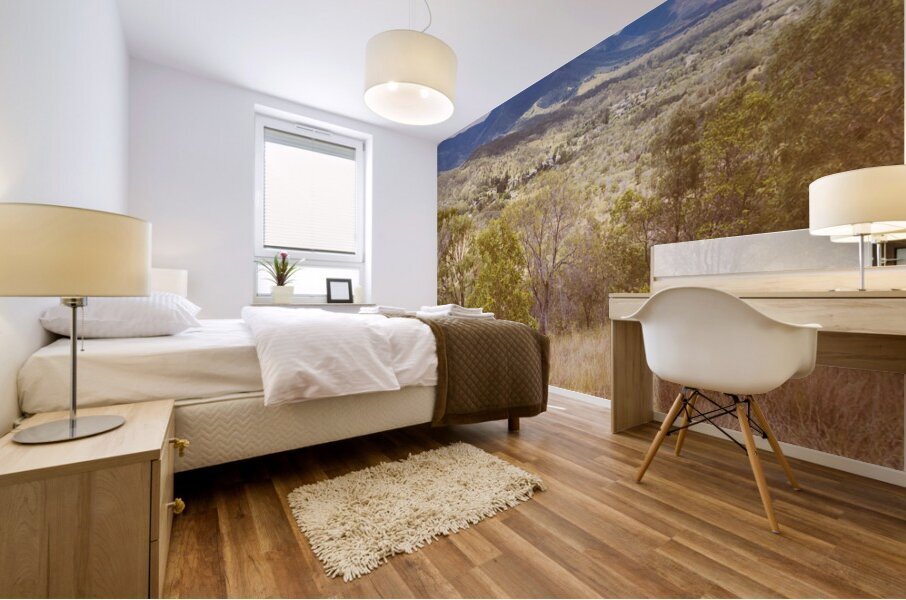 Calming countryside Mural print