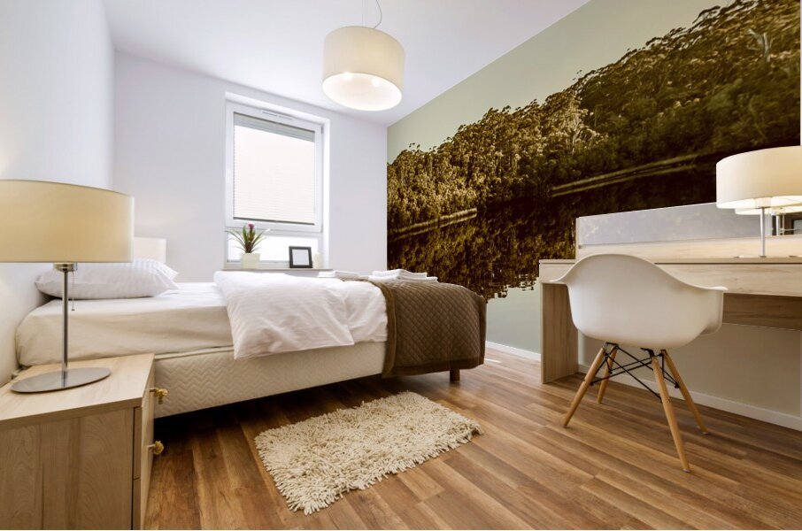 Reflections from Cockle Creek  Mural print