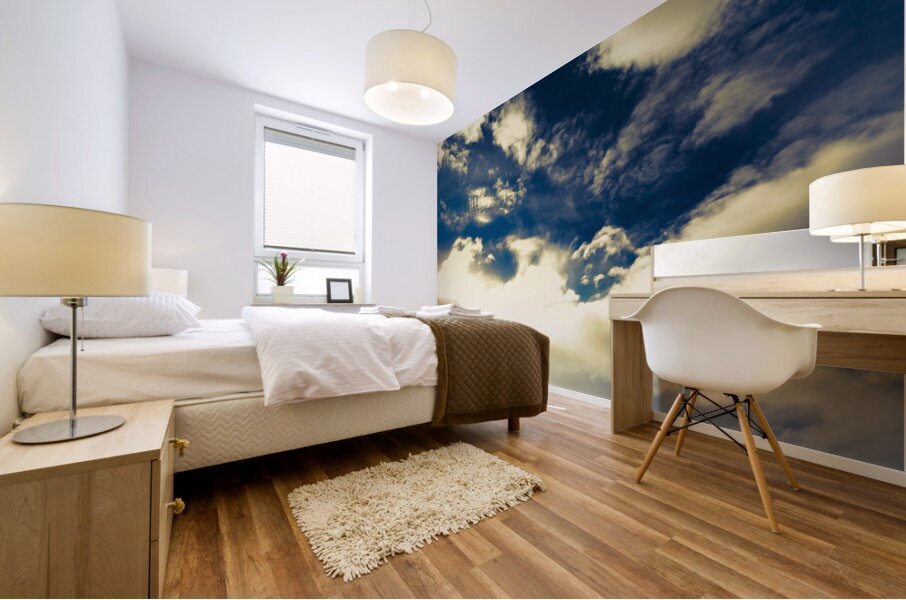 Crossing the Nive River Mural print