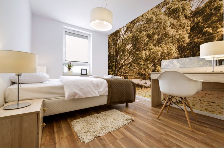 Vivid tree in a outback Australia Mural print