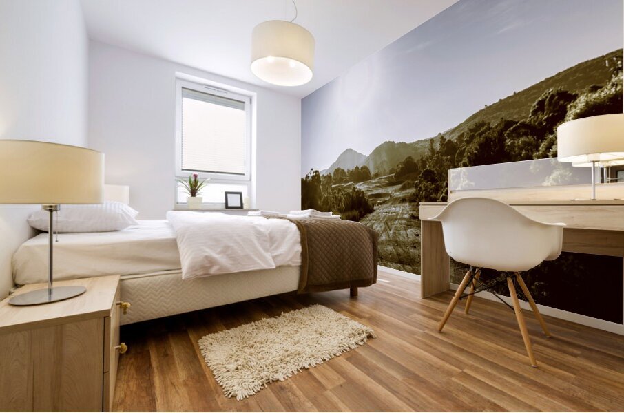 Sunset on rural Zeehan Mural print