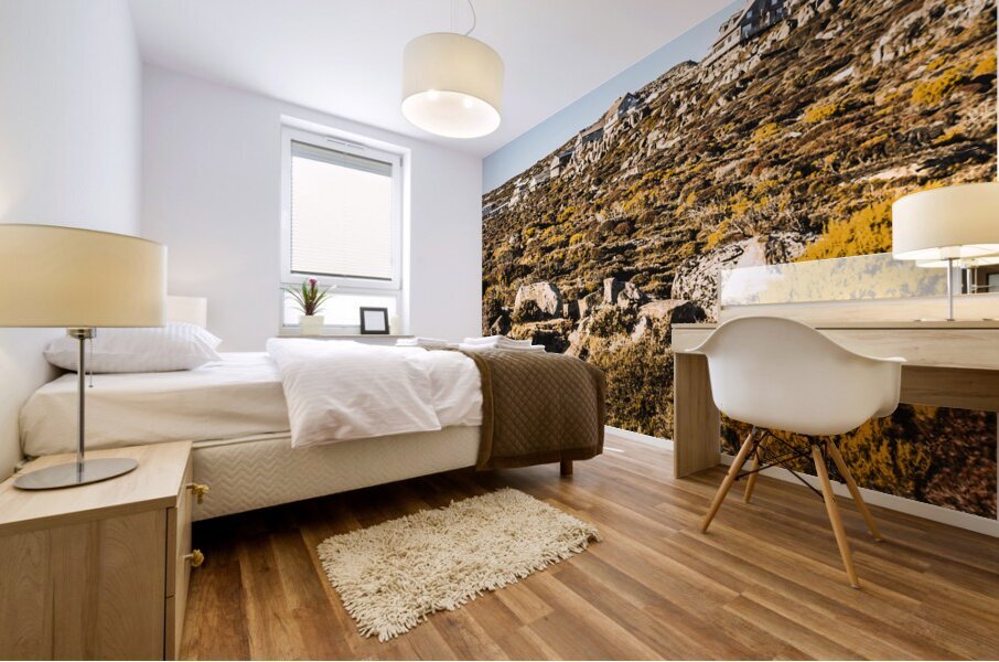 Rugged mountain town Mural print