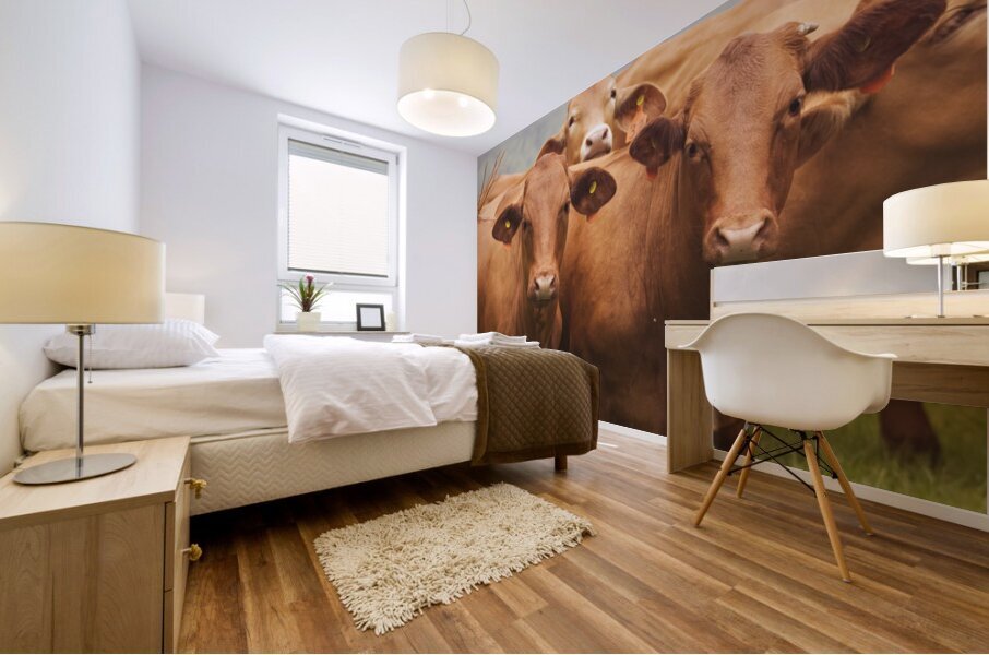Mountain Cows Mural print