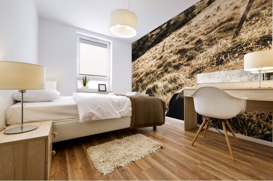 Australian adventurer on rural holiday Mural print