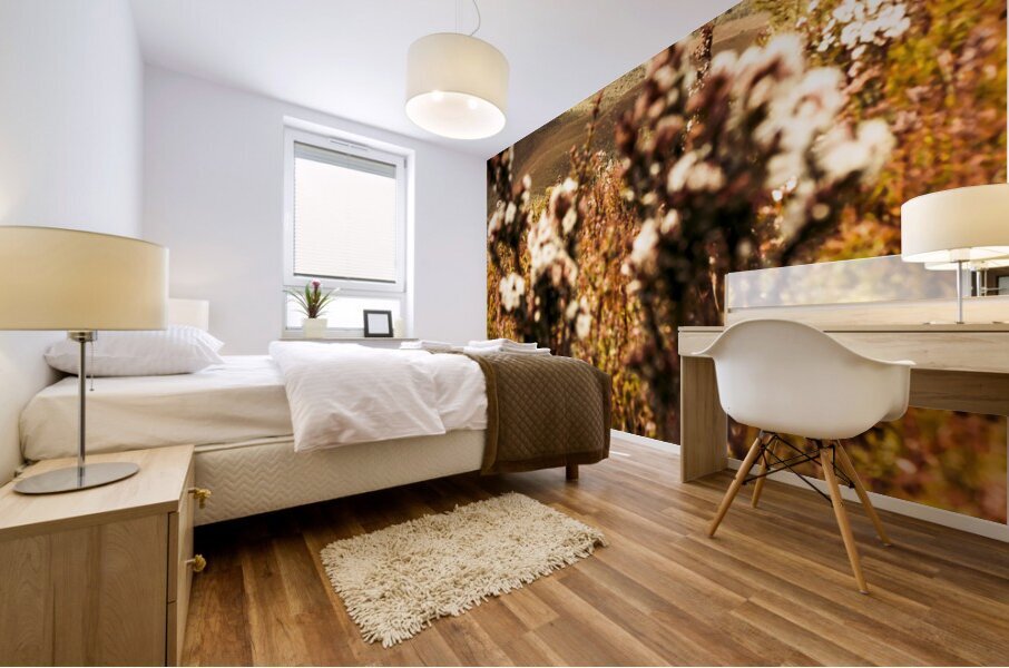 Wild west mountain view Mural print