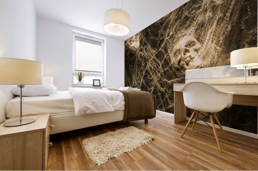 Web of entrapment Mural print