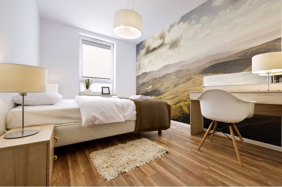 From Zeehan to Trial Harbour Mural print