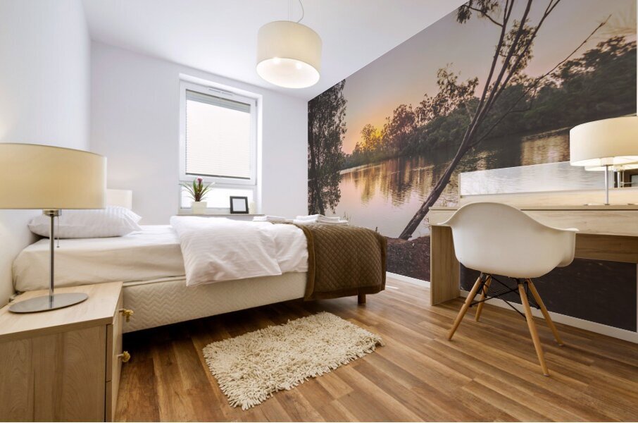 Late light  Mural print