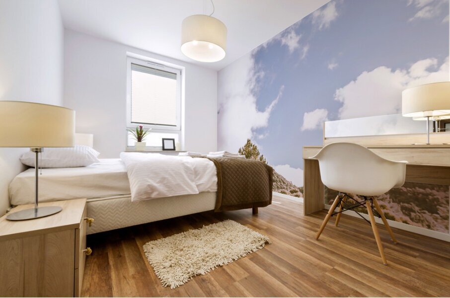 Scenically simplistic Mural print