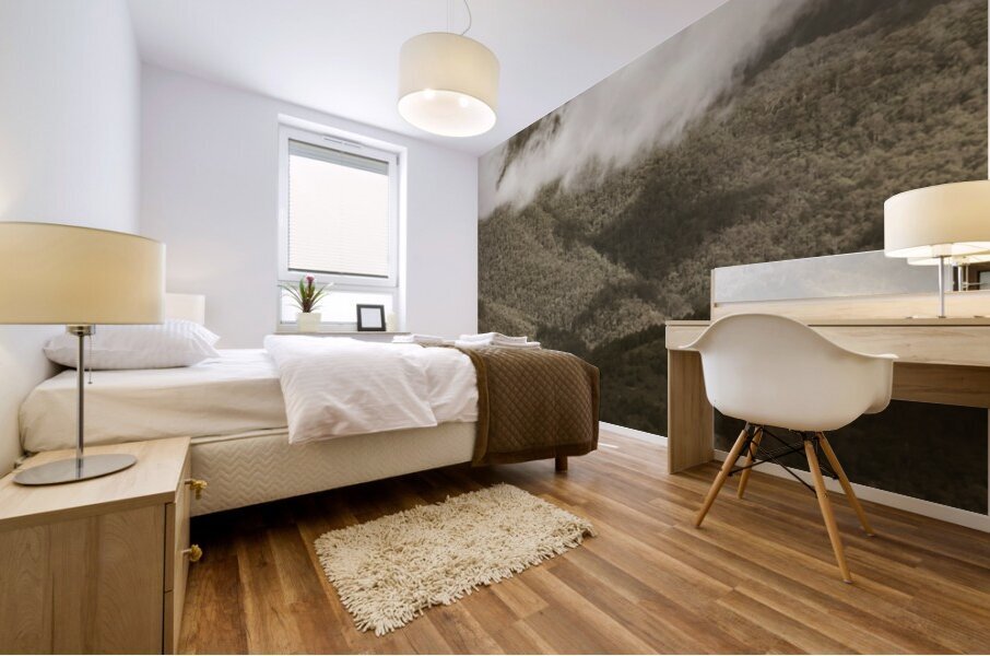 Oncoming rains Mural print