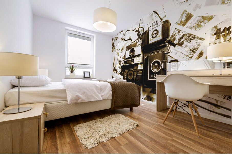 Antique albums Mural print