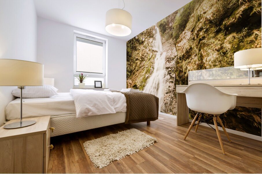 Falls explorer Mural print