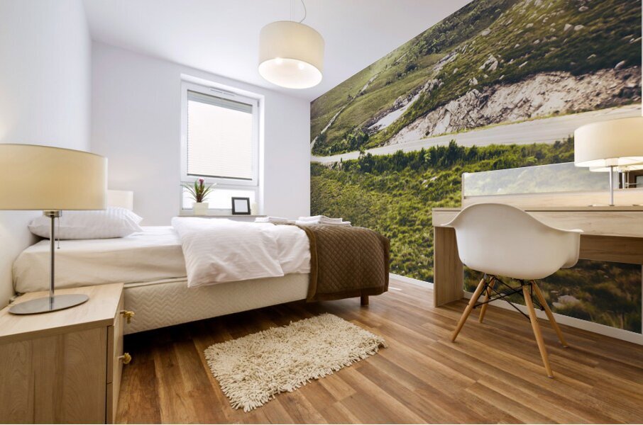 Mountain scene in West Coast of Tasmania Australia Mural print