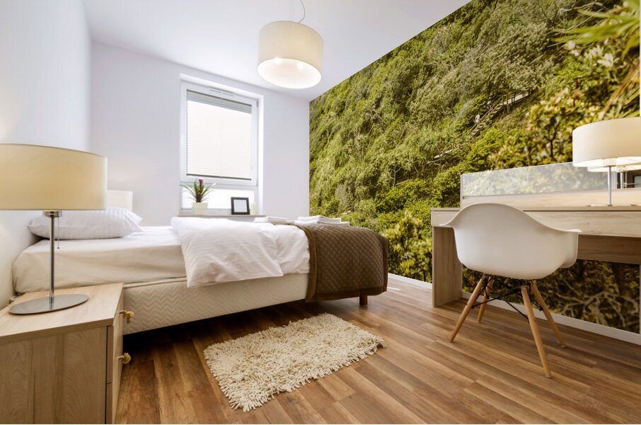 Forest footbridge Mural print